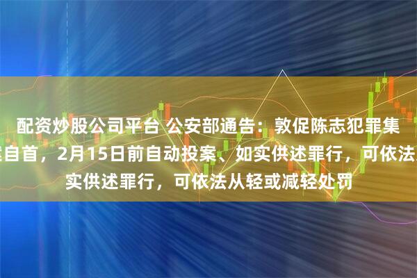配资炒股公司平台 公安部通告：敦促陈志犯罪集团在逃嫌犯投案自首，2月15日前自动投案、如实供述罪行，可依法从轻或减轻处罚