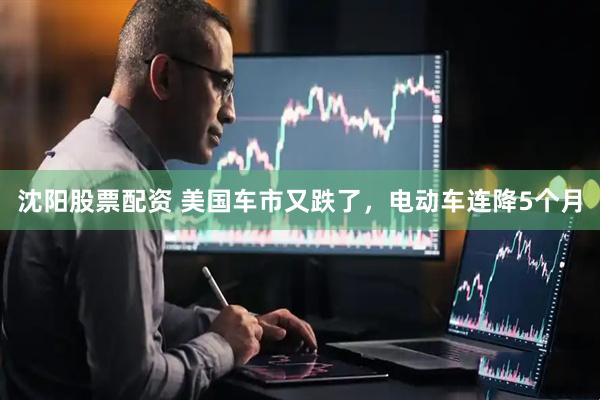 沈阳股票配资 美国车市又跌了，电动车连降5个月